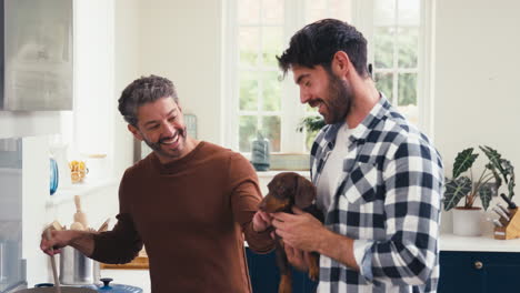 same sex male couple with pet dachshund at home in kitchen preparing meal together