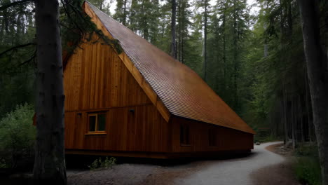 rustic wooden cabin in a dense forest