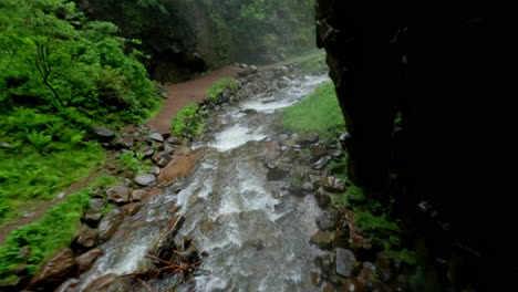 üppig-Grüne-Schlucht-Mit-Wasserfall-Und-Nebliger-Atmosphäre,-Aufgenommen-An-Einem-Regnerischen-Tag