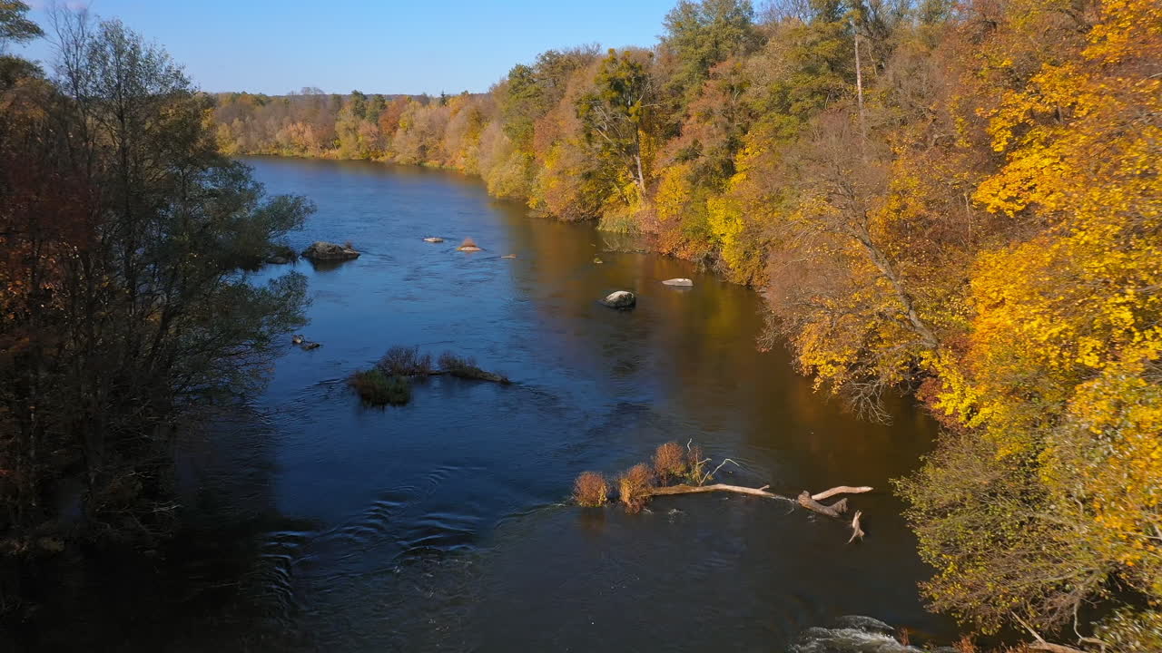 Aerial view. Flying over the beautiful sunny autumn forest colorful trees. Landscape panorama concept