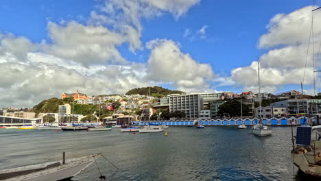 waterfront captures the colourful boat sheds of wellington’s oriental bay with yachts gently moored in the turquoise harbor above the shoreline, a patchwork of homes and buildings rises into the hills