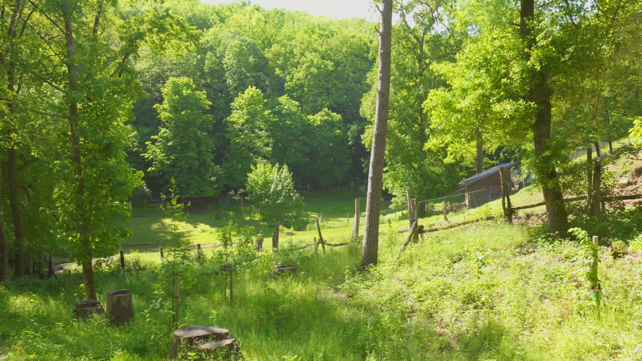 Lush Green Trees And Grassy Hills In Summer In Sarrebrucken, Gerrmany. - wide shot