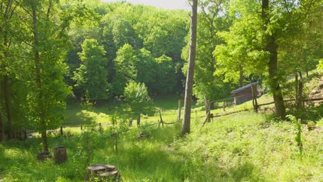 lush green trees and grassy hills in summer in sarrebrucken, gerrmany. - wide shot