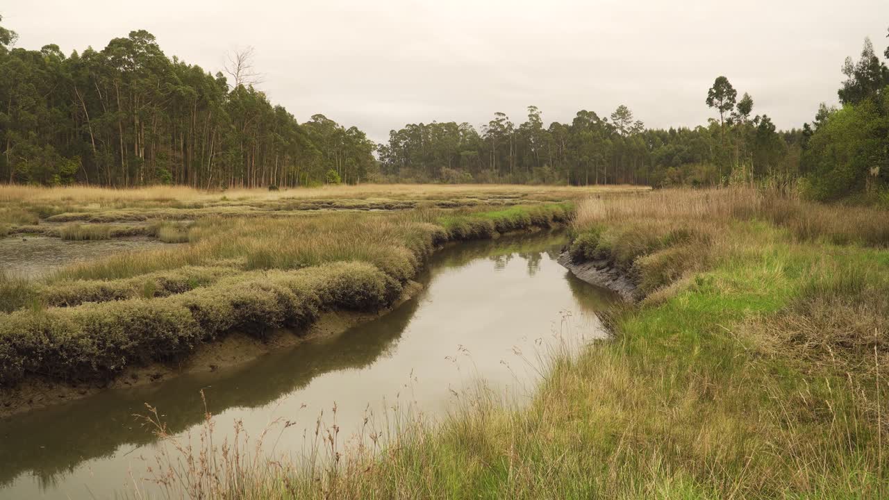 4K muddy river bed in a low tide with some water flowing down the river to the ocean