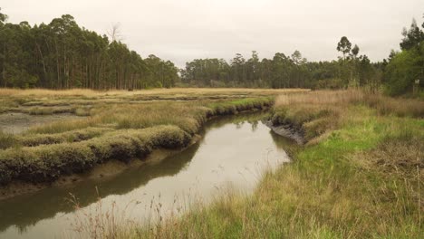 4k muddy river bed in a low tide with some water flowing down the river to the ocean