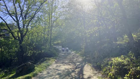 group of hikers with dog walk along trail in valle del jerte spain towards sun