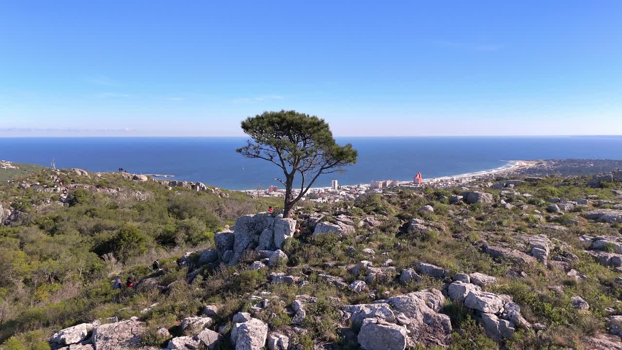 Drone captures people arriving at the summit of Cerro del Toro in Piriápolis, Maldonado, Uruguay. A lone tree stands atop, overlooking the town and bright blue ocean on a beautiful winter day