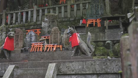 kitsune fox messenger statues in mossy fushimi inari taisha, kyoto, japan