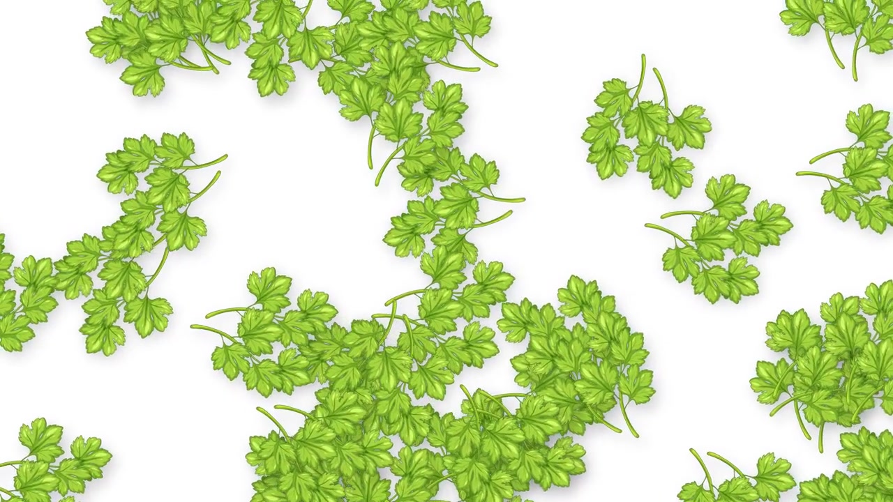 Fresh green parsley sprigs fall vertically through frame with soft shadows on white background.