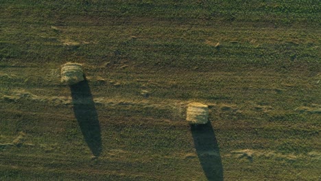 aerial top view hay bales at agricultural field in summer at sunset, haystack