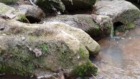 imágenes en cámara lenta de una pequeña cascada de un arroyo de manantial de montaña corriendo por enormes losas de piedra arenisca de roca con musgo, agua potable cristalina, meditación tranquila y pacífica