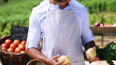 Handsome-man-checking-potato