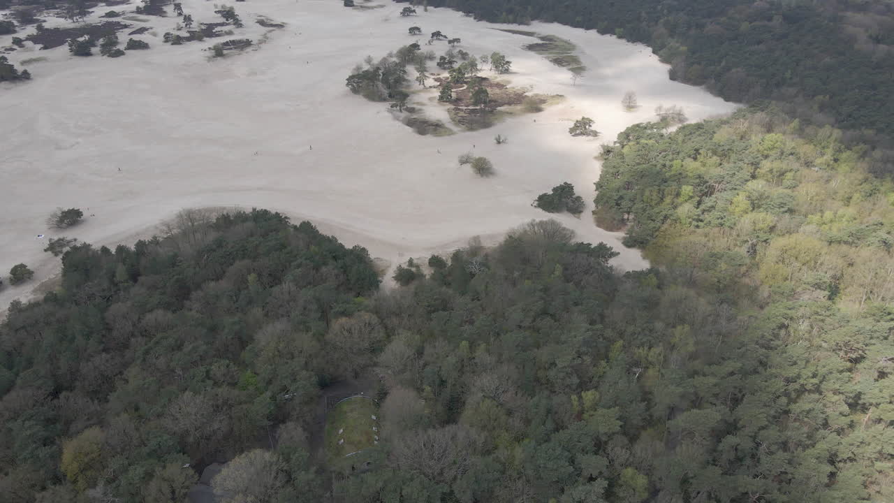녹색 숲 위를 날고 아름다운 모래 언덕을 드러내는 드론