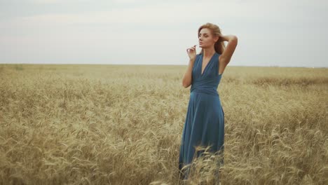 handsome young woman in a long blue dress standing in golden wheat field trying the wheat's stem, touching her hair and enjoying