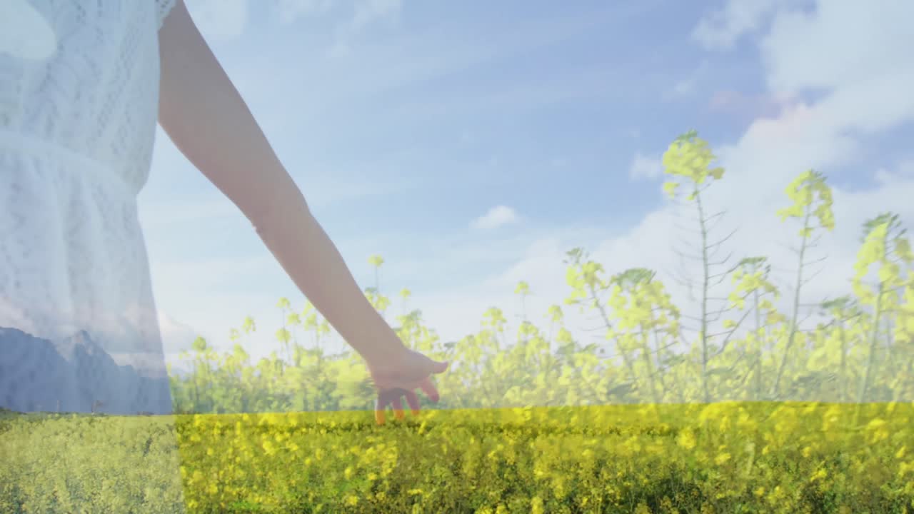 자연 속에서  ⁇ 고 있는 백인 여성 위에 있는 불빛의 비디오