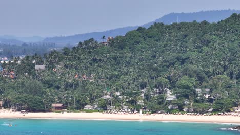 pansea beach with palm trees and umbrellas for tourists in phuket, thailand. drone panoramic.