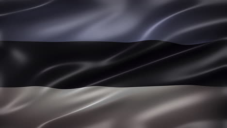 the flag of estonia, eesti lipp font view, full frame, sleek, glossy, fluttering, elegant silky texture, waving in the wind, realistic 4k cg animation, movie-like look, seamless loop-able