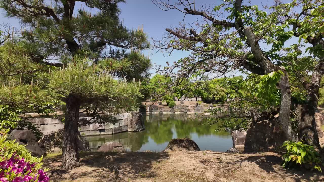 Water pond Japanese garden retreat nature Nijō garden Kyoto Japan