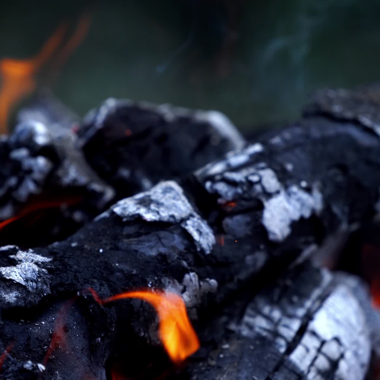 Coals of campfire in the forest