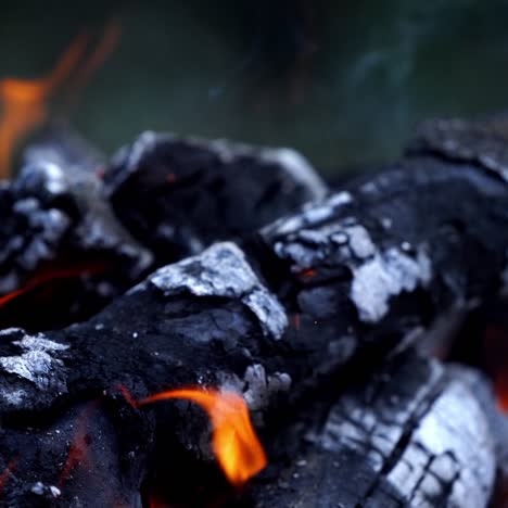 coals of campfire in the forest