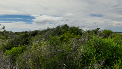 Vista-Aérea-De-Gulfshores,-Alabama,-Cerca-Del-Parque-Estatal