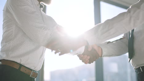 management shaking hands, business men meeting