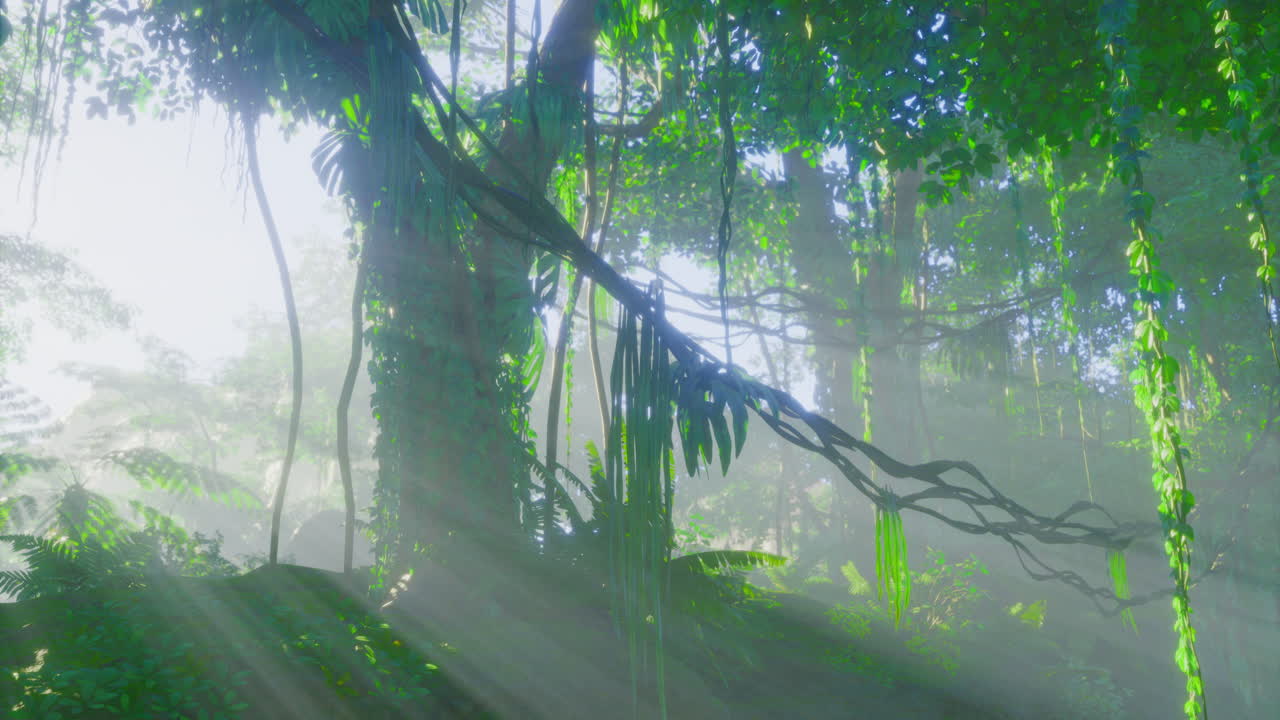 Morning light breaks through lush jungle foliage creating a serene atmosphere