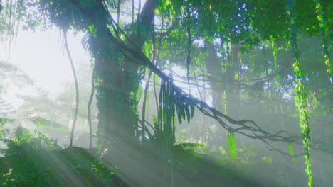 morning light breaks through lush jungle foliage creating a serene atmosphere