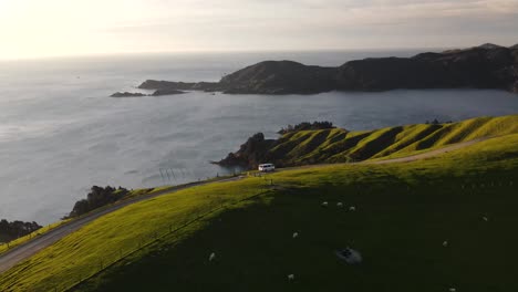 Van-Parked-On-French-Pass-Road-Overlooking-Bay-On-A-Sunset-With-Herd-Of-Sheep-Grazing-In-New-Zealand