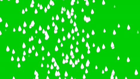 rain water drop animation motion graphics on green screen background for video elements