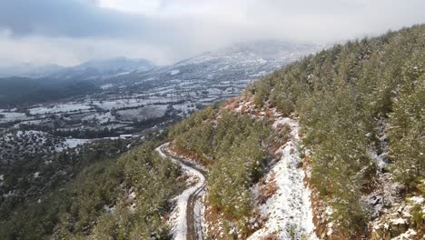 Winterwald-Hoher-Hügel-Bedeckt-Schnee