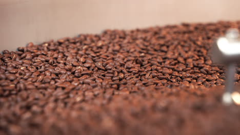 close-up roasted coffee beans moving and mixing in drum roaster in slow motion