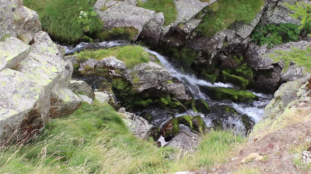 Creek is flowing in the valley Alps making waterfalls