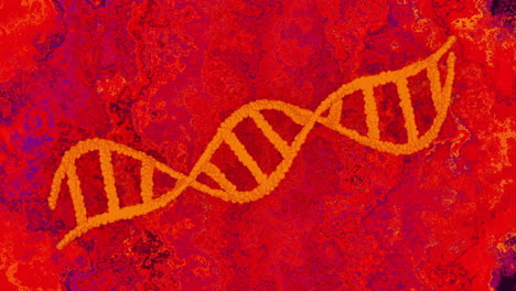 cadena de adn animada sobre un fondo de textura roja