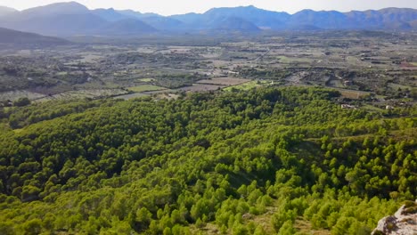 Springen-Der-Klippe-über-Wald-Mit-Bergen-Im-Hintergrund-In-Spanien