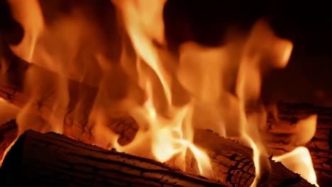 burning firewood in fireplace