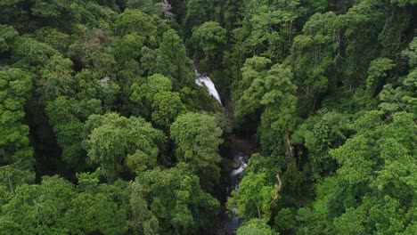 natural bridge waterfall in the heart of the rainforest