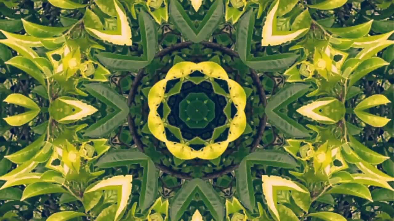 video abstracto que brilla, luz brillante que arregla movimientos sutiles de colores con una forma de flor, fondo negro