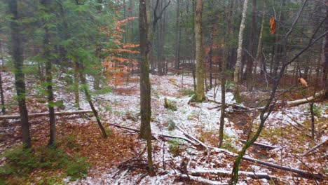 Drone-flying-through-the-misty-and-snowy-landscape-of-Mount-Washington,-passing-through-trees-and-frozen-streams-located-in-New-Hampshire,-in-United-States-of-America