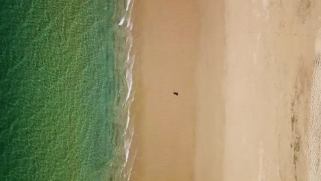 Isolated-woman-stands-on-beach-and-waves-breaking