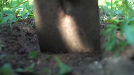 digging a hole - close up