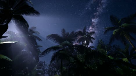 4k astro of milky way galaxy over tropical rainforest.