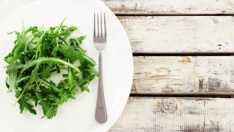 rúcula en un plato con tenedor