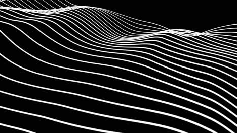 abstract wavy white lines on black background