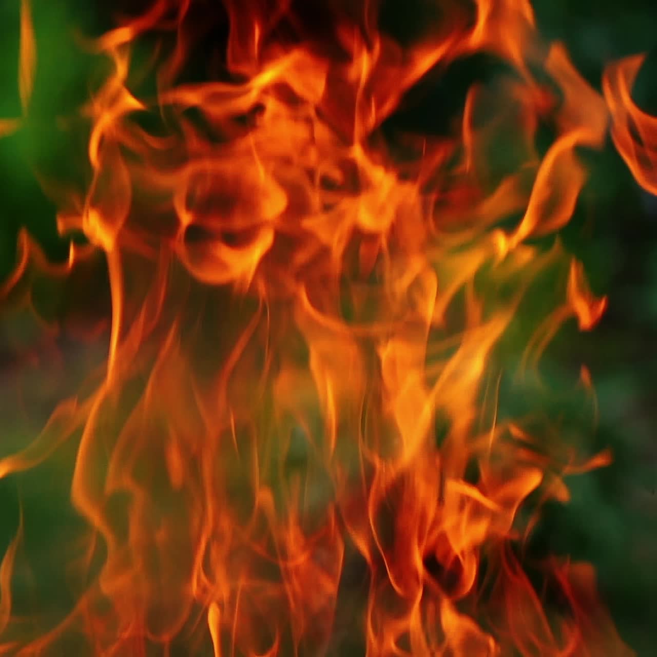 Fire flame on blur nature background. Motion of vivid fire tongues. Beautiful orange flame of fire. Slow motion.