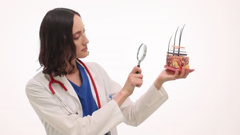 doctor examining a skin anatomy model with a magnifying glass