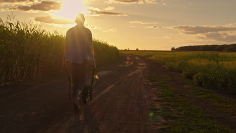 farmer working in a cornfield at sunset