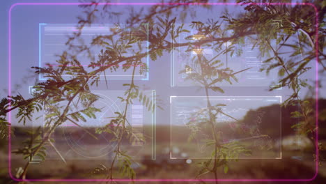 branches bearing green leaves floating through hud with scanning frames, graphs, radar, world map