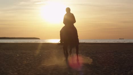 silhouette of young rider on horse at beach moving towards sunset light. back view.