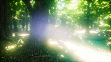 great red deer in a green forest